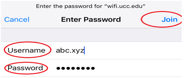 iPhone credentials input