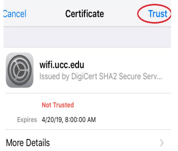 iPhone certificate trust screen