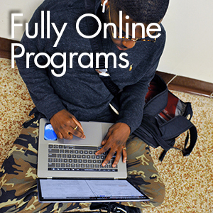 Fully Online Programs