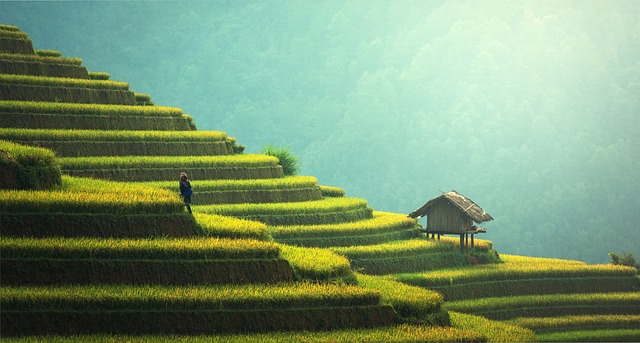 Beautiful Green agricultural landscape