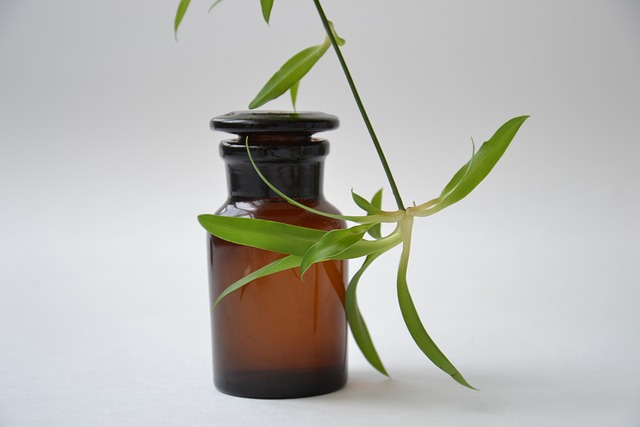 plant sprig next to pharmacy bottle