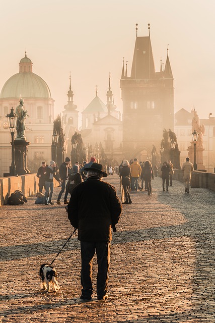 man with dog in front of bridge and impressive old city