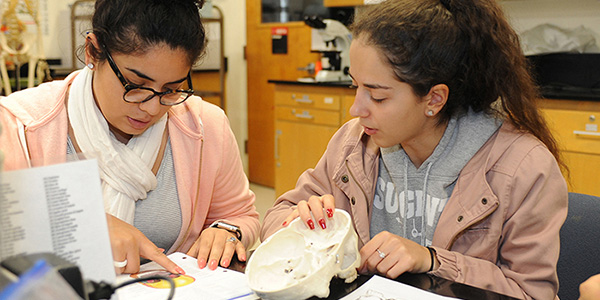 two girls looking at an open skull in classroom setting